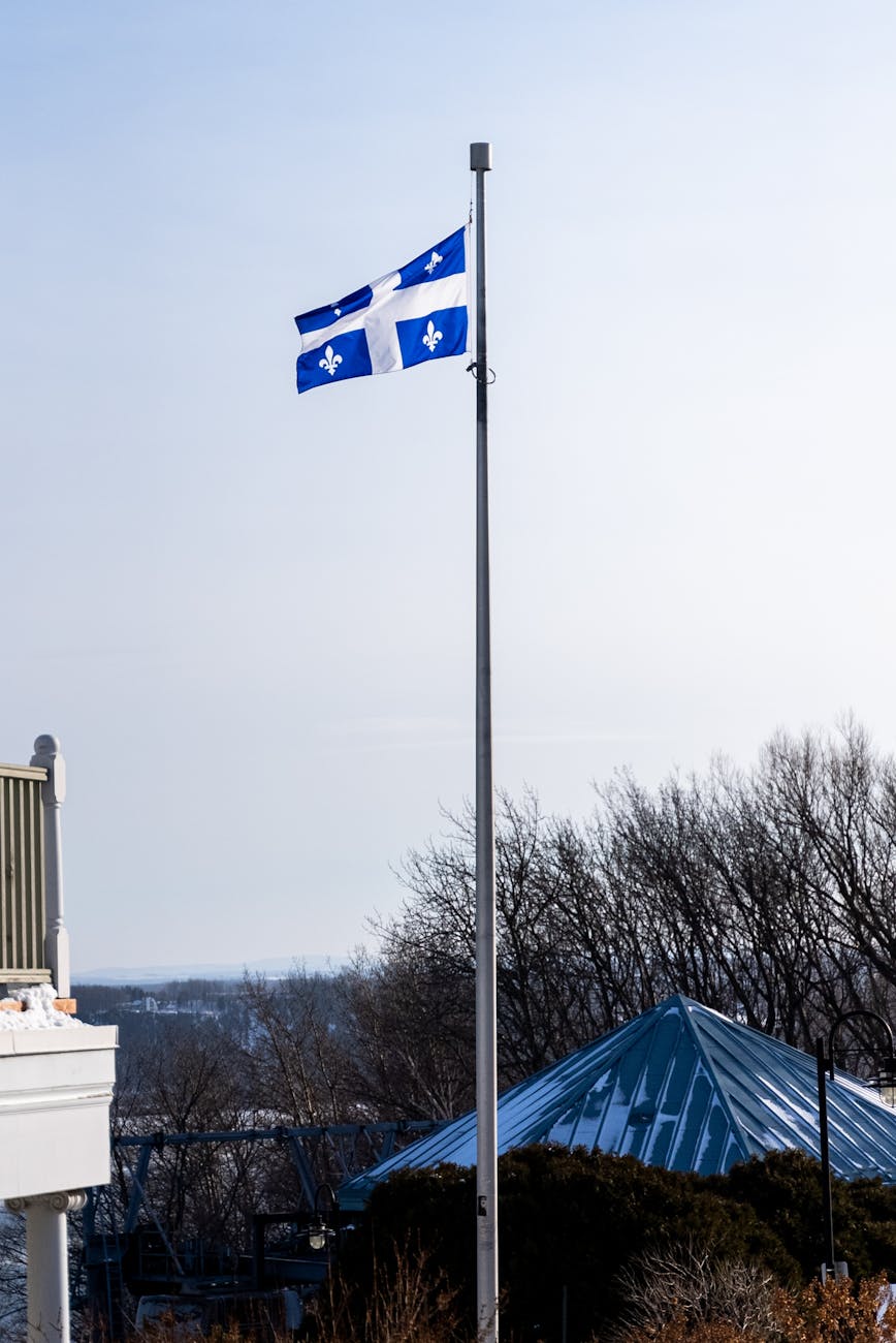 blue and white flag on pole under white sky